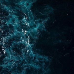 Meet your Posher, Preet